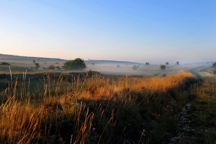 JL Bories – Paysages – 010