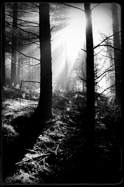 JL Bories – Paysages – 012