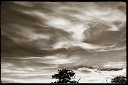 JL Bories – Paysages – 008